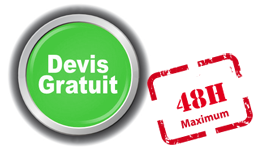 Devis gratuit prestations et spectacles Animations Triangle